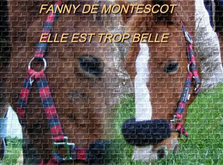 FANNY DE MONTESCOT