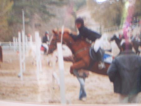 a aix o pinshinnats